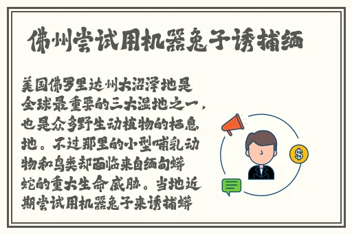 天堂网www新版资源